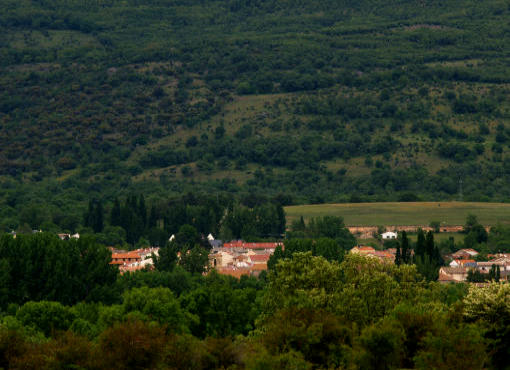 Alameda del Valle